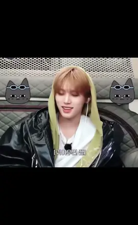 빌려온 고양이 #태산 #fyp 