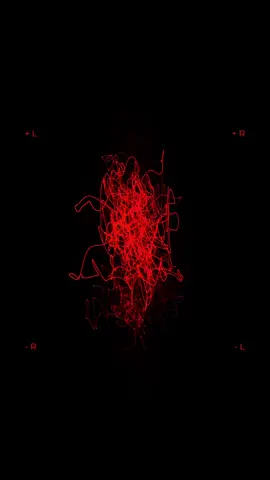 Rok Nardin - Vector