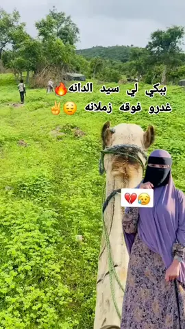 # ببكي لي سيد الدانه🔥  غدرو فوقه زملانه 😌✌️#جقله_الخير_جقله_العز #الشهداء_احياء_عند_ربهم_يرزقون #جاهزية_سرعة_حسم_في_كل_مكان_و_زمان 