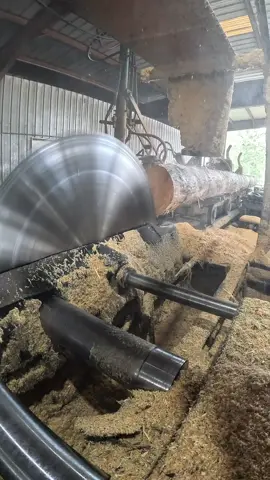 Slicing up this 26-ft Southern Yellow Pine log into clean 10x10s with the 66” solid tooth saw on the Cox Bros carriage. Old-school power meets big wood. #SawmillLife #SouthernYellowPine #BigTimber #VintageMachinery #WoodworkingTikTok