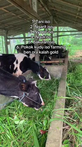 Pkoke multifungsi bosss #peternakmuda #drivermuda #trenggalek24jam #masukberanda #fyp 