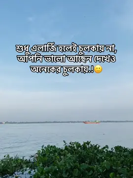 🙂🙃#প্রাকৃতিক_সুন্দর্য #foryoupage #fypシ゚ #viral #tiktok #caption #funnyvideos 