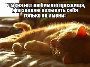 а ещё кроха и принцесса🤲🏻 #shitpost #щитпостинг #щитпост #щп #shitposting #любовь❤ #recommendations #рекомендации #глобальныерекомендации #кот #котенок #котята 