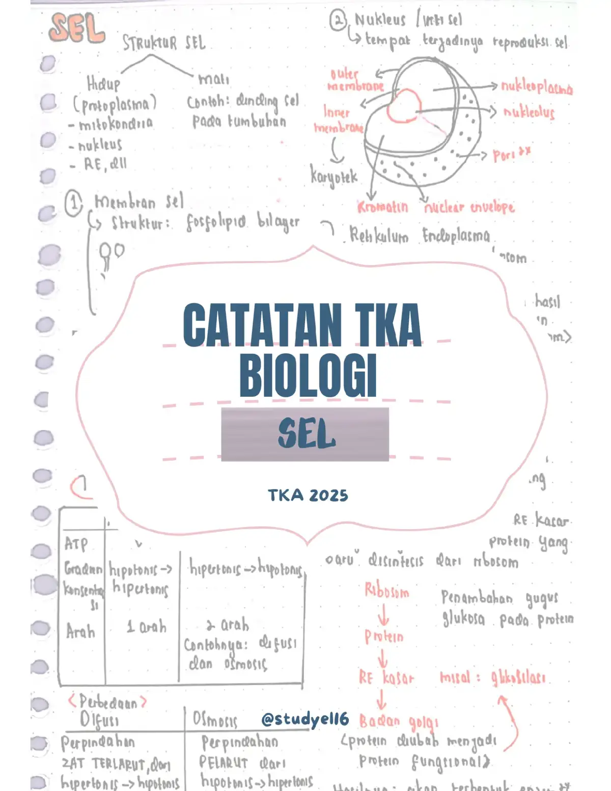 Tes Kemampuan Akademik atau TKA adalah asesmen pengganti Ujian Nasional (UN) yang dibuat oleh Kementerian Pendidikan Dasar dan Menengah (Kemendikdasmen).  Hasil TKA digunakan sebagai salah satu komponen penilaian dalam Seleksi Penerimaan Murid Baru (SMPB) untuk pendidikan selanjutnya, seperti SD ke SMP dan SMP ke SMA. Bagi siswa SMA/SMK, TKA menjadi indikator penilaian dalam seleksi masuk perguruan tinggi melalui jalur prestasi. source: brainacademy.id Yuk mulai belajar dari sekarang! #tka #biologi #snbp #fyp #studyel16 
