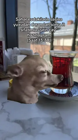 hele qışqıra qışqıra danısmaqların demirəm 😂😂 #kesfet #fpyシ #kesfetde 