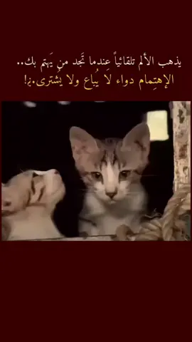 اجمل شعر وافخم عباره #كلكامشh #ستوريات_كلكامش #اقتباسات 