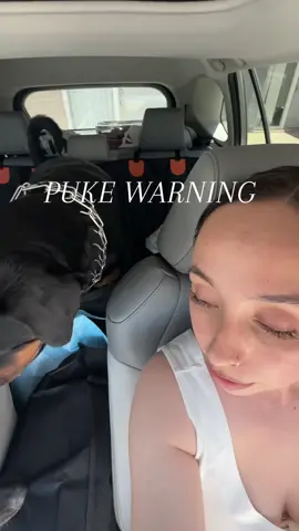 thankfully I have this car seat protector #tiktokshop #petfinds #carprotector #izldnn 