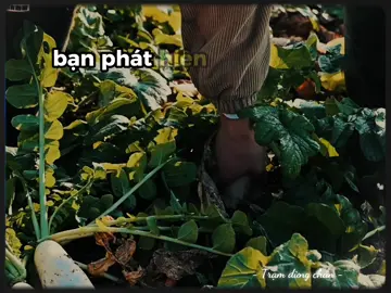 #chualanhtamhon #chualanhtonthuong #thaydoibanthan #phattrienbanthan 