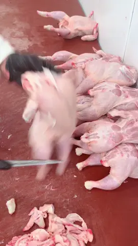 #chick for curry , roast, bbq #oldhamhalalmeat #OL41NZ #foryoupage #Cheap prices 