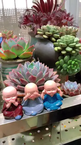 Bộ Tượng 4 Chú Tiểu Bốn Không, Không Nghe, Không Nói, Không Nhìn, Không Làm Điều Xấu _ Decor bàn học, xe ô tô, chậu cảnh, hồ cá #methuysinh🐠 #decor #relax #4chutieutukhongdecor #phatphapnhiemmau #xuhuong #viral 