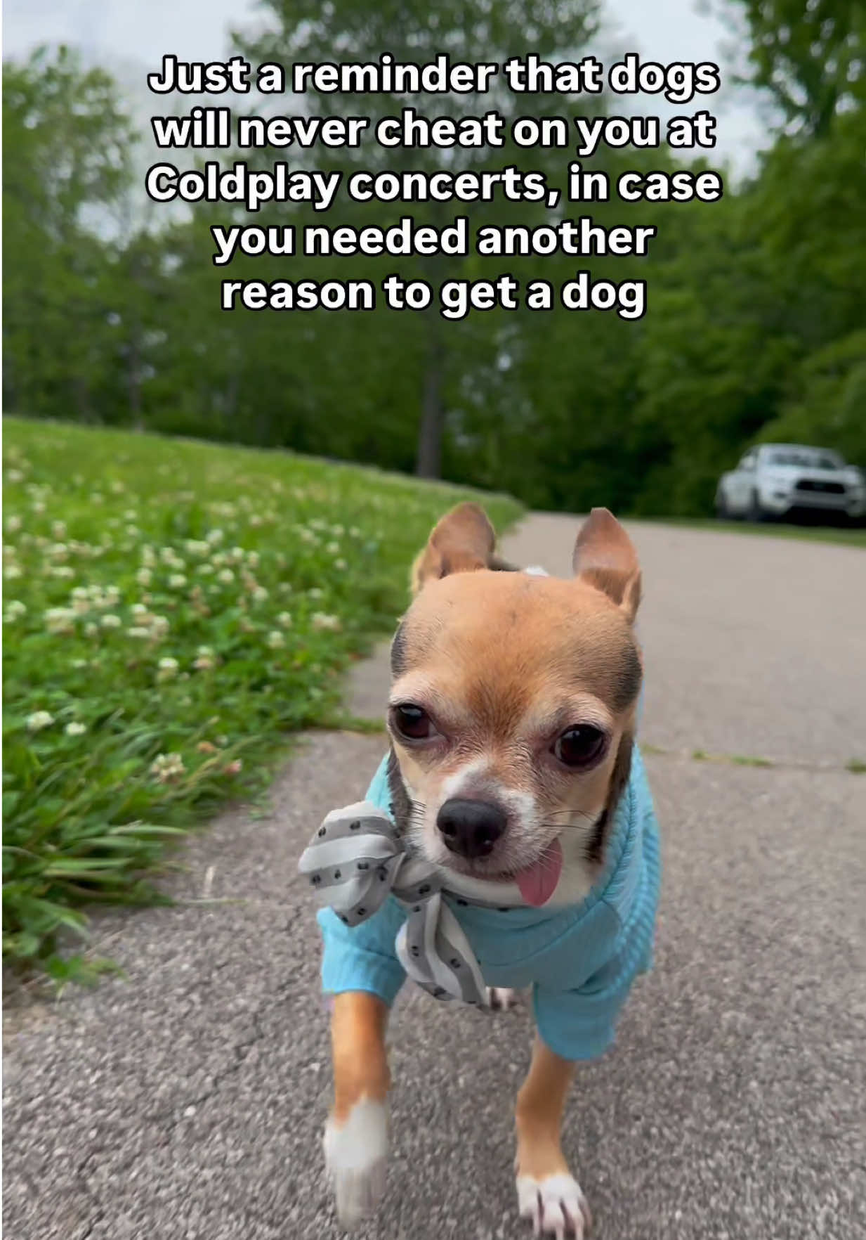 Just in case you needed another reason👀🐶 ##DogTok##FunnyDogs##CuteDogs##CuteDog##Funny##DogLover##DogLovers##Cute##DogsOfTikTok##PuppyLove##DogLife##DogComedy##PetTok##ViralDogs##ChihuahuaLife##Chihuahua##ChiLife##Chihuahuas##Chihuahuastiktok##Puppiesoftiktok