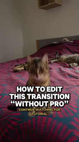 #CapCut #capcutpioneer How to edit this transition “WITHOUT PRO” Continue watching for Tutorial! @Quentin.fx #capcut_edit #fyp #trend #foryou #foryoupage #smoothvelocity #softslowmotion #softslowmo #velocity 