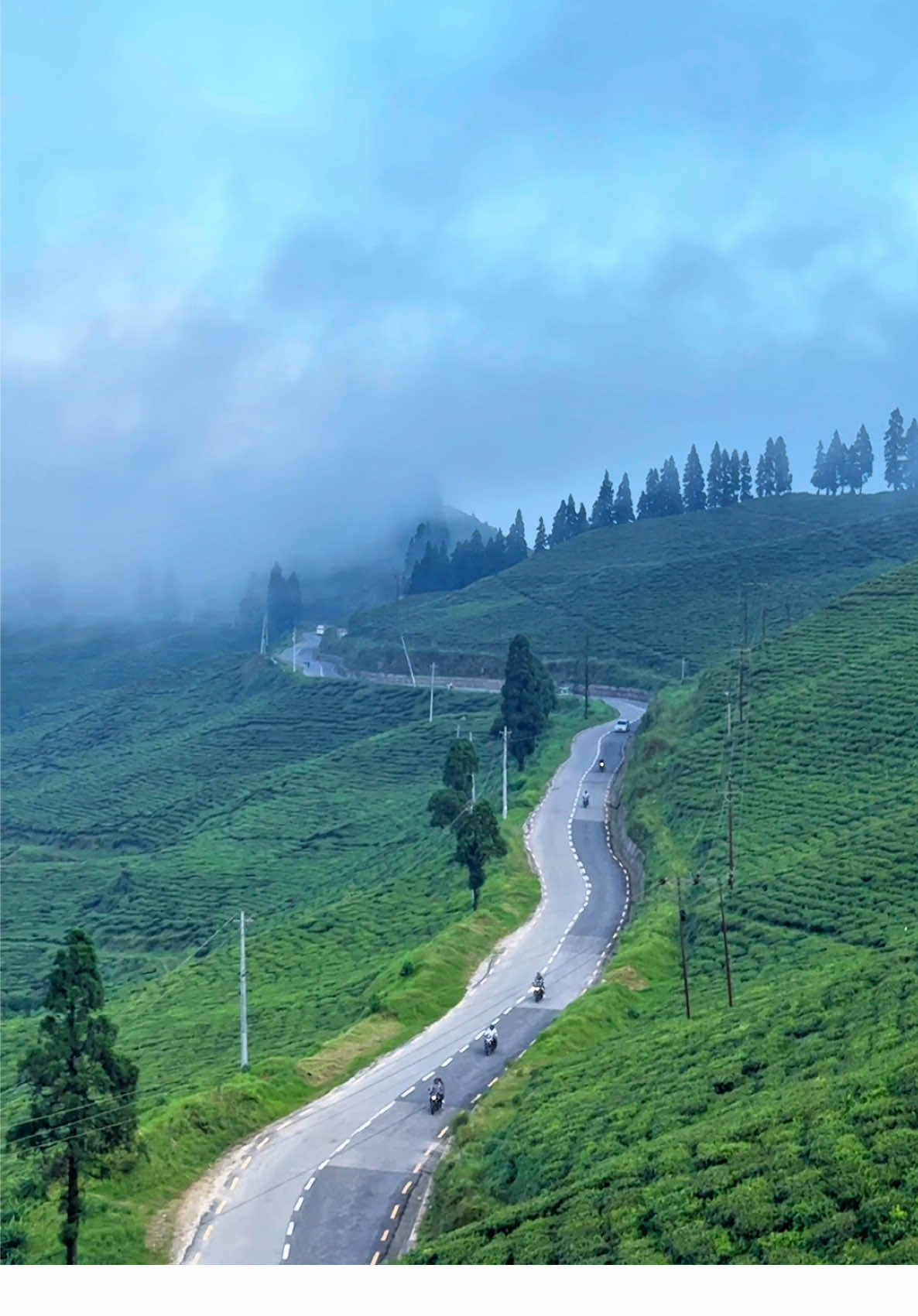 When Jhapa burns, this place chill 🍃  #ilam #kanyam #jhapa #jhapali #nepalitiktok #fyp #nepalitiktok 