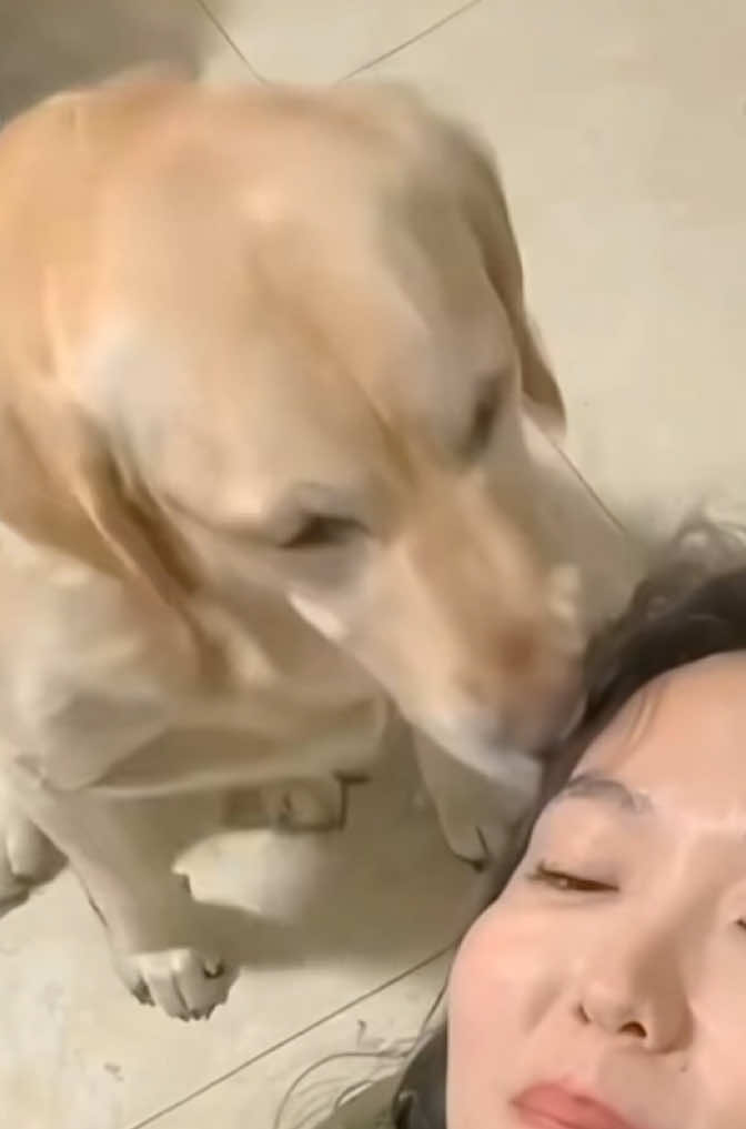 #stitch with @fullwarp - Not what I was expecting… seeing this early in the morning- but Ai is getting a bit uneasy due to videos like this. I’m not offended nor upset but why the ‘Is it real, or is it cake?’ Thing with pets/animals?? Biting faces off like this, this is very uneasy especially for a dog owner like me😅🥲  Ai is very creative and getting stronger by the days that pass on by..