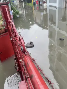 survivor ph si ratatouille 😭😭😭 #habagat #flood #animal #animalsoftiktok 