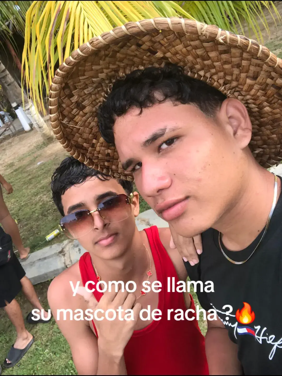 #creatorsearchinsights #larachaaaaaaaaaa🔥 #racha #creatorsearchinsights #fyp #fyp #viraltiktokO @Simón Olivero 