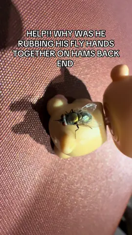 Homie was feeling frisky or something. #littlestpetshop #lps