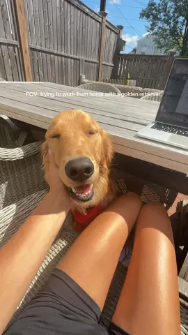 My zero help helper 😭