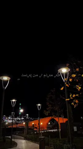 #اگر_مردم_زمن_پرسد_چرا_رنگت_خزان_گشته #عزیزی_در_سفر_دارم #fyp #explore #tranding #1millionaudition #hayat_0025 