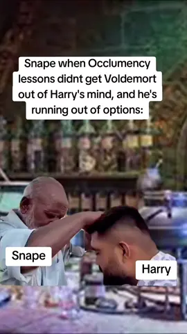 Got to keep him out somehow!  #harrypotter #harrypottertiktok #potterhead #hogwarts #snape #voldemort 