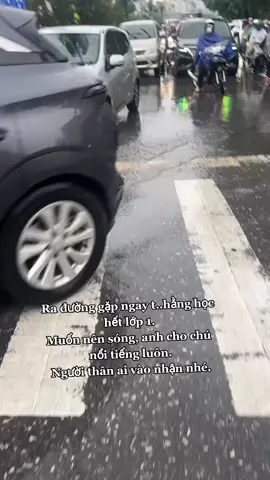 Giống Động V...ật ăn cỏ ko