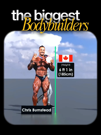 who is the greatest?  #Fitness #gym #cbum #strongman 