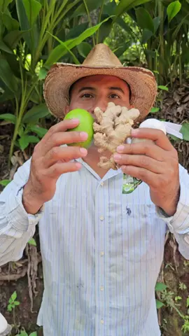 #Elcampoysusvirtudes #sufres#higado#graso#inflamado#recetanatural #beneficiosparatusalud #vida #salud #viralvideo.
