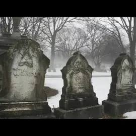 #molchatdoma #song #postpunkruso #gothmusic #foryoupage #edit #goth