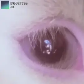 Die For You - Joji #mood #music #song #songlyrics #fyp #viral #trending #popular #CapCut 