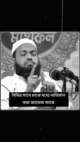 বিবির সাথে মাঝে মধ্যে অভিমান করা জায়েজ আছে  #🎙️মুফতি_আরিফ_বিন_হাবীব #foryoupage #bdtiktokofficial🇧🇩 
