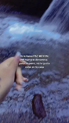 Si