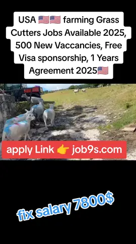 #creatorsearchinsights #nowhiring #farming #sheep #jobsearch @🇺🇸Donald Trump🇺🇸 @Ronaldo Lima 