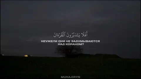 сура: Ан-ниса аяты 82 чтец Мухаммад аль-Люхайдан #коран #исламскиевидео #قران #محمداللحيدان #религия 