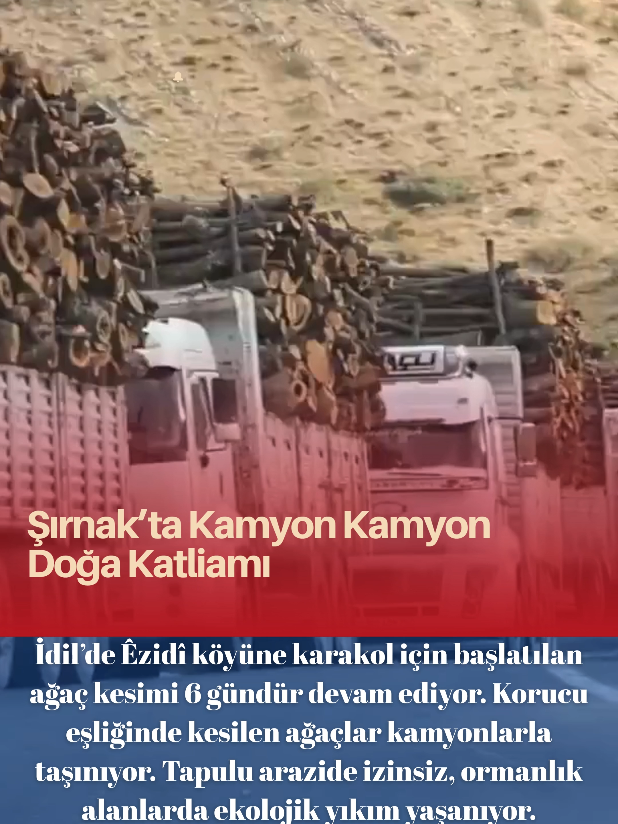 #Şırnak'ta Kamyon Kamyon Doğa Katliamı #DEM ##SelahattinDemirtaşaÖzgürlük #pkksilahbırakiyor #keşfet #DEM