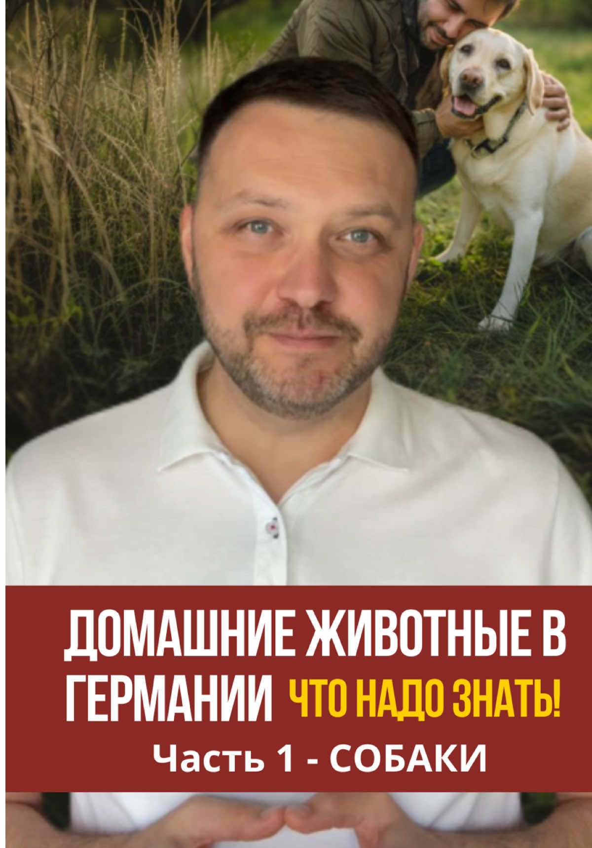 Часть 1. Домашние животные в Германии - что надо знать!  🐶 СОБАКИ: что обязан каждый владелец ✔️ Налог на собаку (Hundesteuer) — обязателен по всей Германии. 💶 Размер зависит от города 👉 За 2 и 3 собаку налог выше. ✔️ Нужно зарегистрировать собаку в Steueramt в течение 1–2 недель. ✔️ Получить налоговый номер и бирку. ✔️ Страховка ответственности (Hundehaftpflicht) — обязательна в большинстве земель. ✔️ В некоторых землях (напр. Нижняя Саксония) — экзамен на компетентность. ✔️ Чипировка и поводок — обязательно. В ряде регионов — и намордник. #германия🇩🇪 #украинцывгермании #німеччина🇩🇪 #українцівнімеччині #жизньвгермании #германия #собакавгермании #домашниеживотныевгермании #німеччина🇩🇪 #німеччина🇩🇪україна🇺🇦 