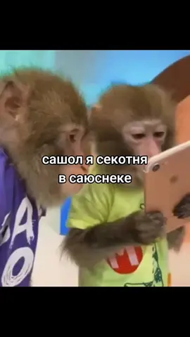 #рекомендации #foryoupage #монкепон #актуалочка 