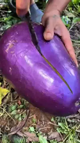 Eggplant Outside_ Watermelon Inside😲🥱🤔  #usa #newyork 