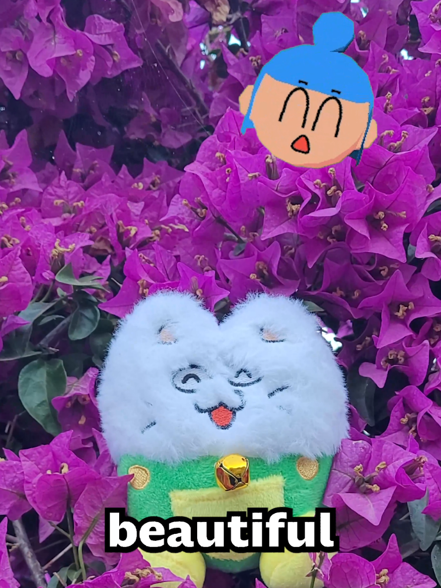 Wow... this is so beautiful! #itemlabel #peepy #dingle #fyp 