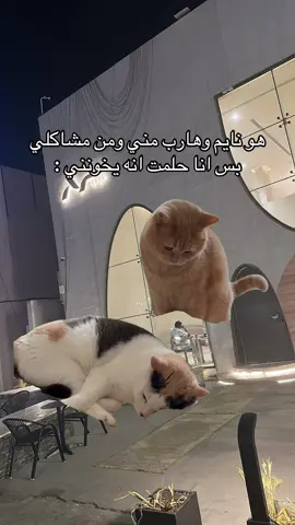 🤣 #CapCut #fyp #foryou #Love #fun 