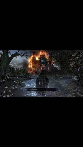 النهاية. #bloodborne #souls #بلودبورن #سولز #fyp 