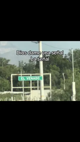 #elvenado #turismo #cuernudos🦌🐐 