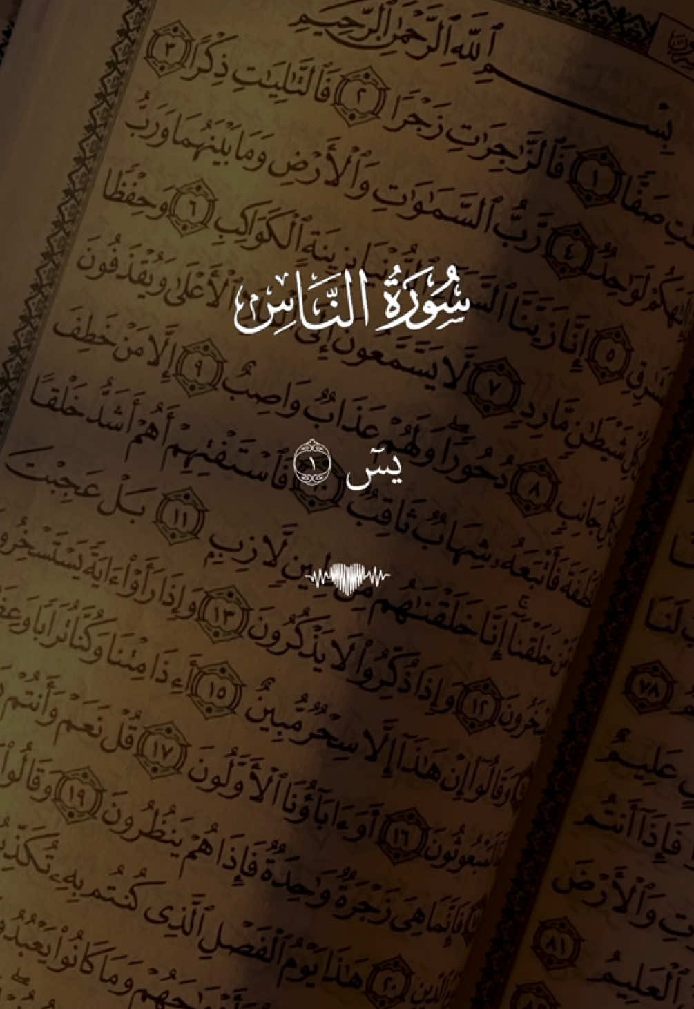 surah ya sin #quran #dailyquran #quran_alkarim #quranrecitation #islamic #USA