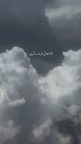 #allah #islam #islamicvideo #foryou #viral #trending #quran 