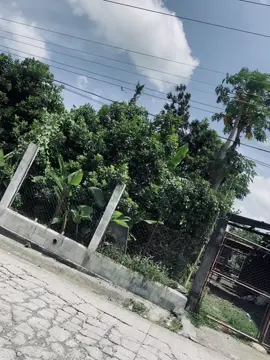 #viral #pfy #ns200 #guatemala🇬🇹 #🥷🏽🧃 
