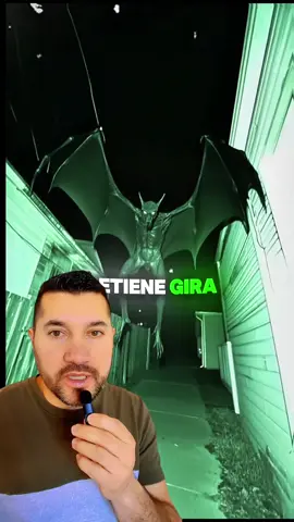 Murciélago jigante captado en cámara #murcielago #bats #estadosunidos🇺🇸 #paranormalactivity 