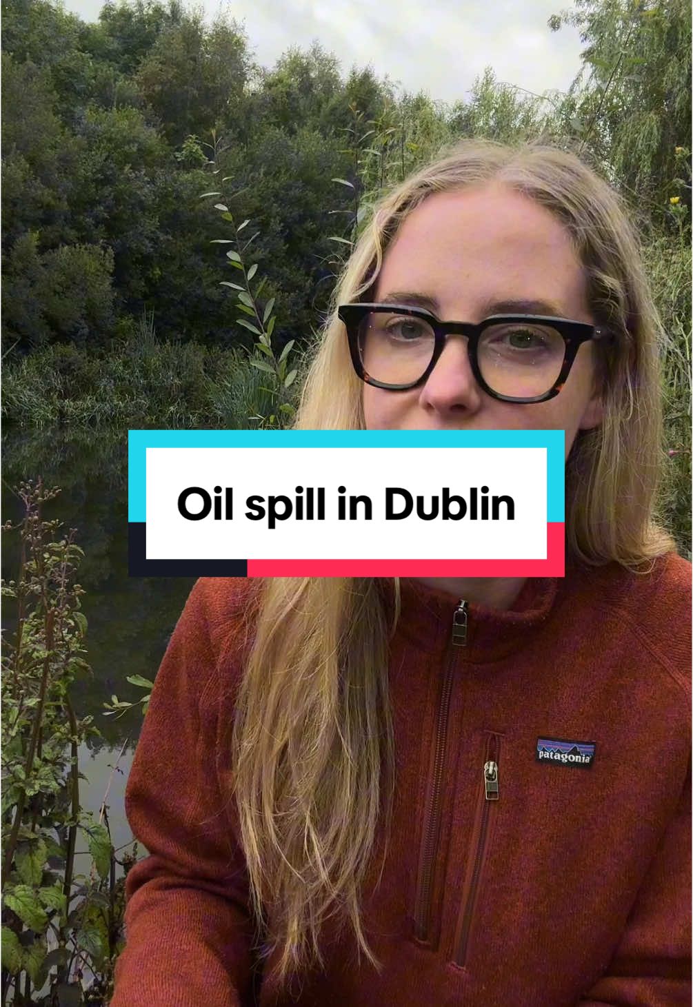Last Wednesday a data centre for Bank Of Ireland had an oil spill that has destroyed the wildlife in Kilbogget Park. Let’s hold them accountable! #Dublin #Ireland #irelandtiktok 