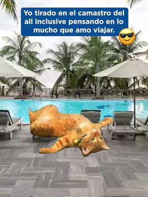 Tu alojamiento en Best Day