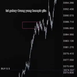 Isi galeri orang yang hampir gla😣😣 #CapCut #hampirgila #xau #forex #fyp #btc #trading #forextrader #tradingforex 