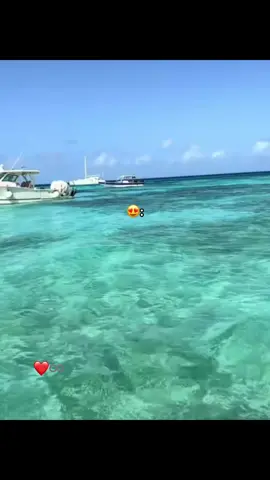 #❤️♾️❤️ #salsa #paratii #viralvideos #salsa 