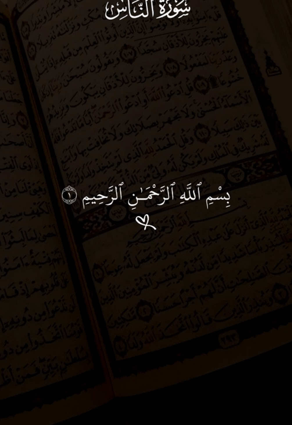 surah al fatihah #quran #dailyquran #quran_alkarim #quranrecitation #islamic #USA